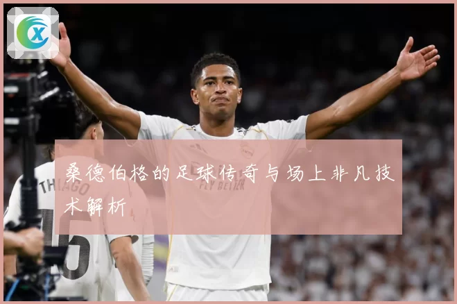 桑德伯格的足球传奇与场上非凡技术解析