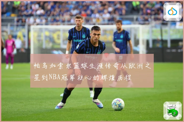 帕乌加索尔篮球生涯传奇从欧洲之星到NBA冠军核心的辉煌历程