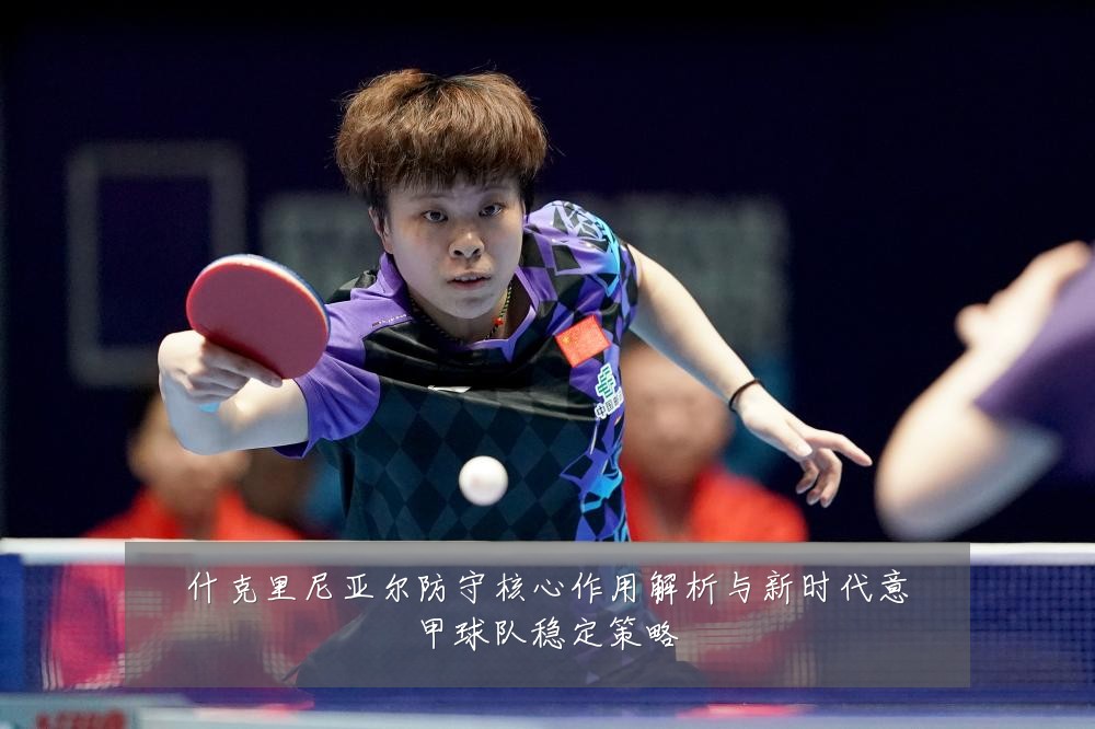 什克里尼亚尔防守核心作用解析与新时代意甲球队稳定策略